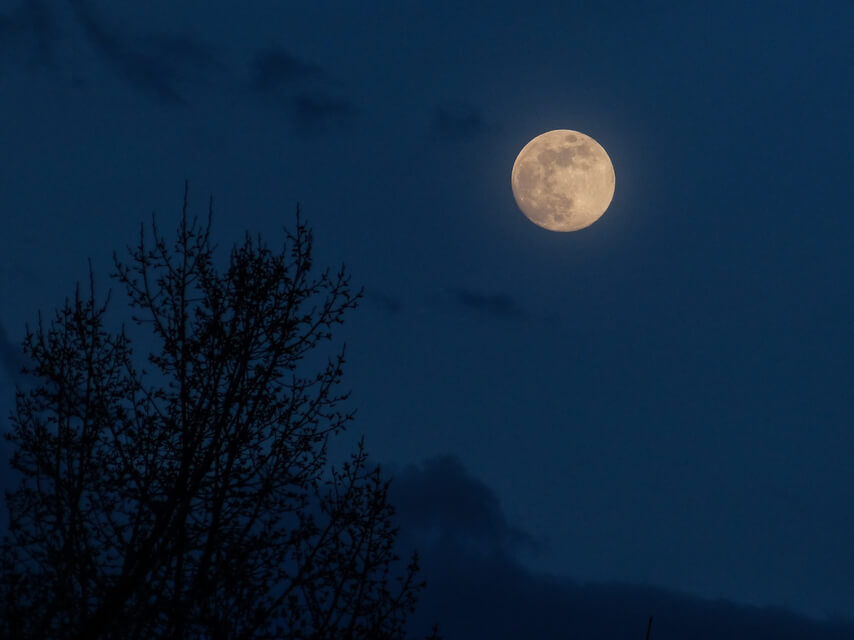 Music Is Moonlight In The Gloomy Night Of Life Tera Mangala Meditation Music Insight Timer